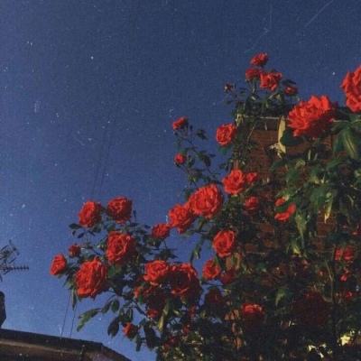 舰指太平洋腾讯版下载
